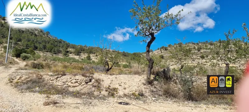 Casa de Campo en Relleu - 3