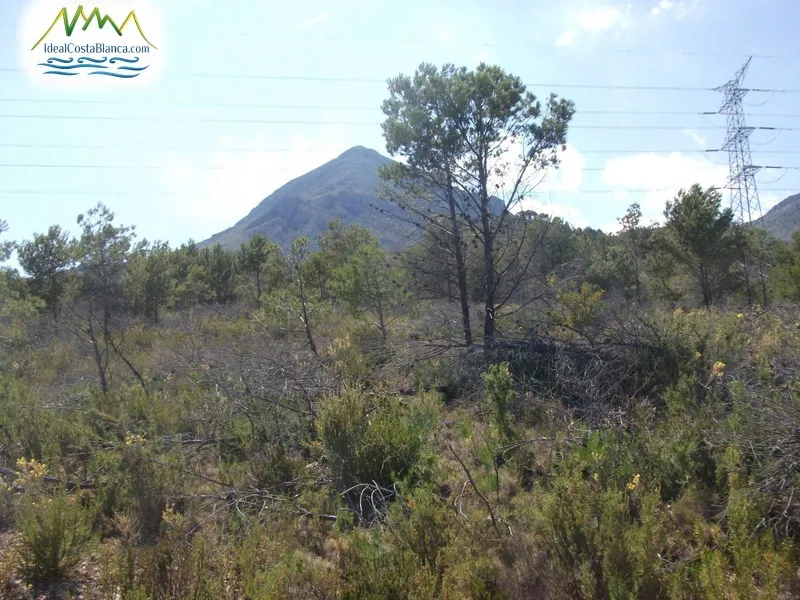 Plot à La Nucía - 5