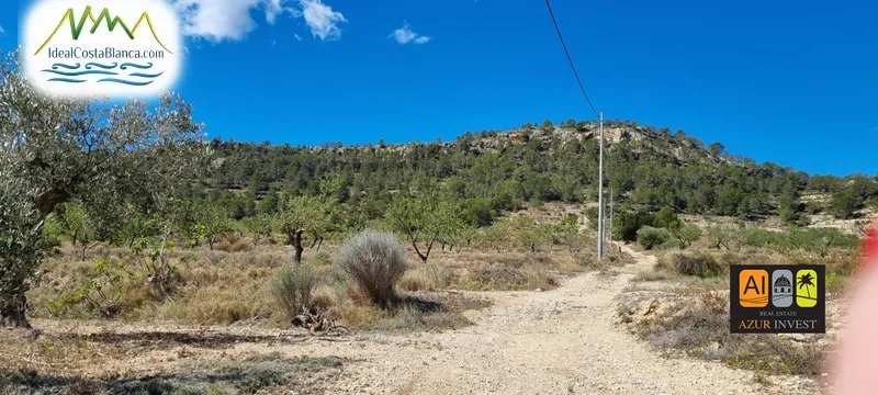 Casa de Campo en Relleu - 2