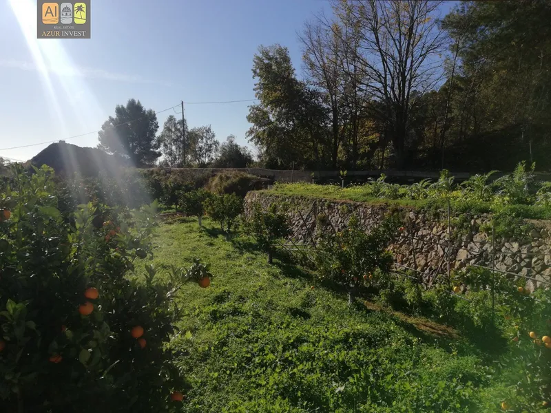 Plot in Altea - 6
