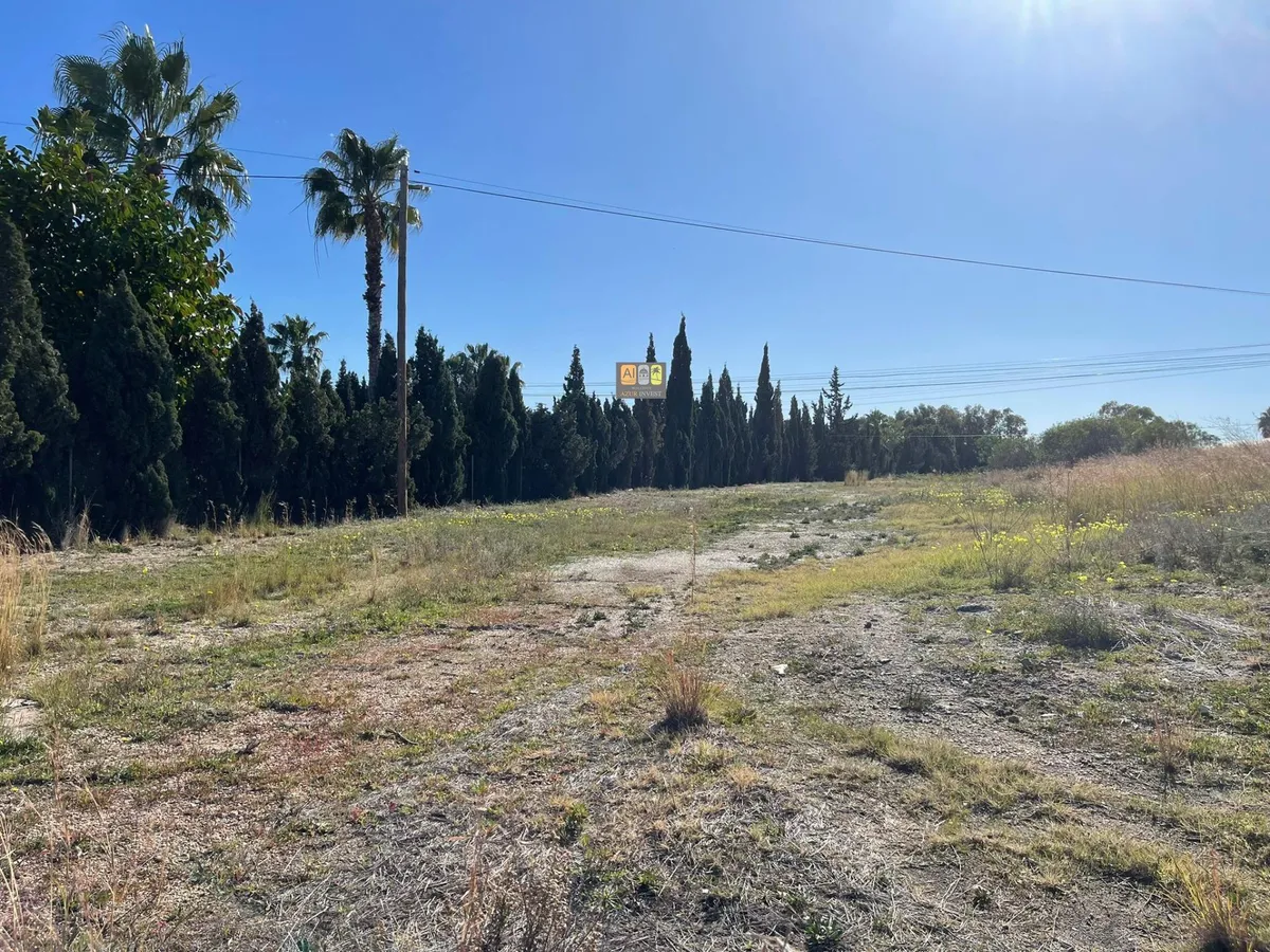 Plot in Altea - Main