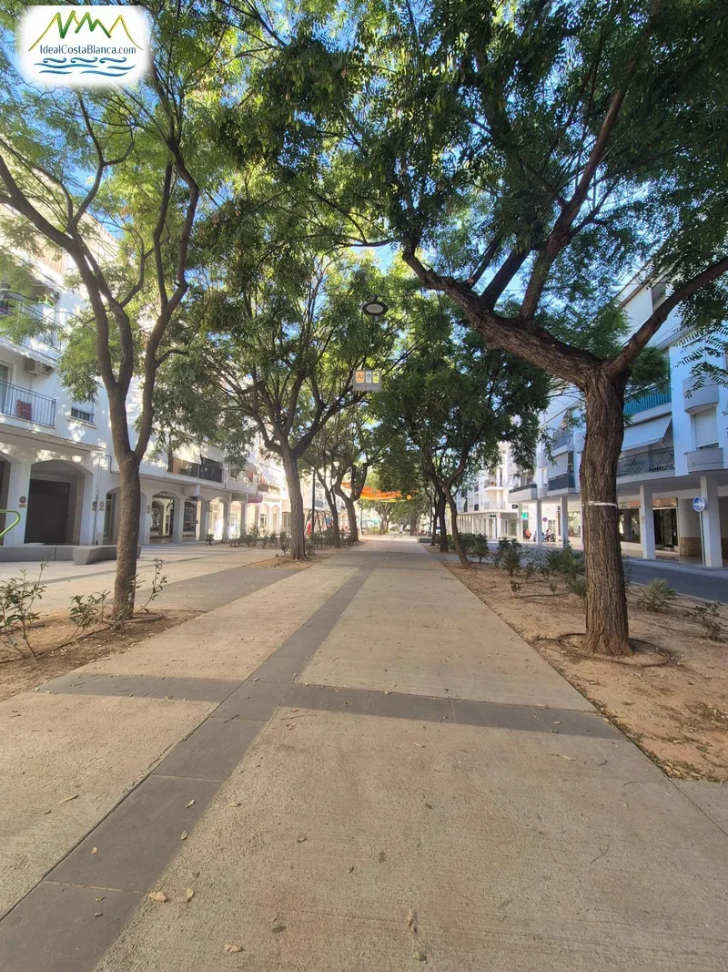 Commercial Unit in Altea - 4