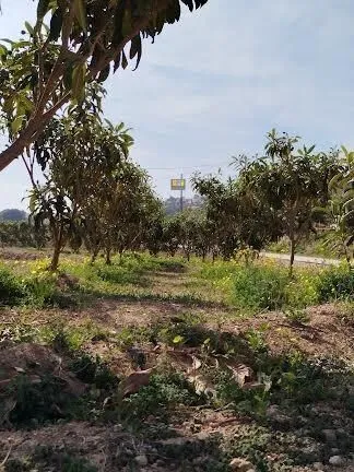 Maison de Campagne à La Nucía - 15