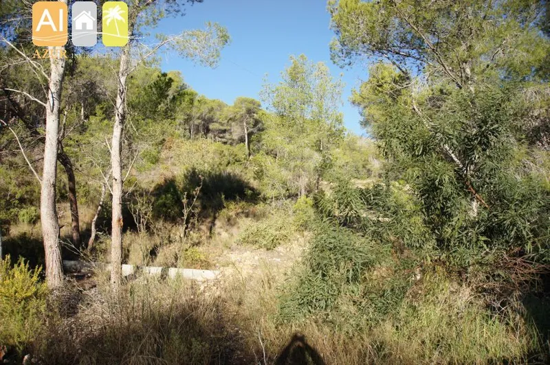 Plot in Altea la vella - 4