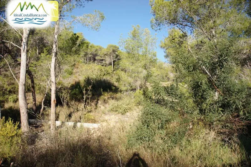 urban plot in Altea la vella - 3