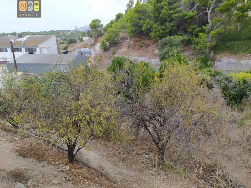 Plot in Altea - 5