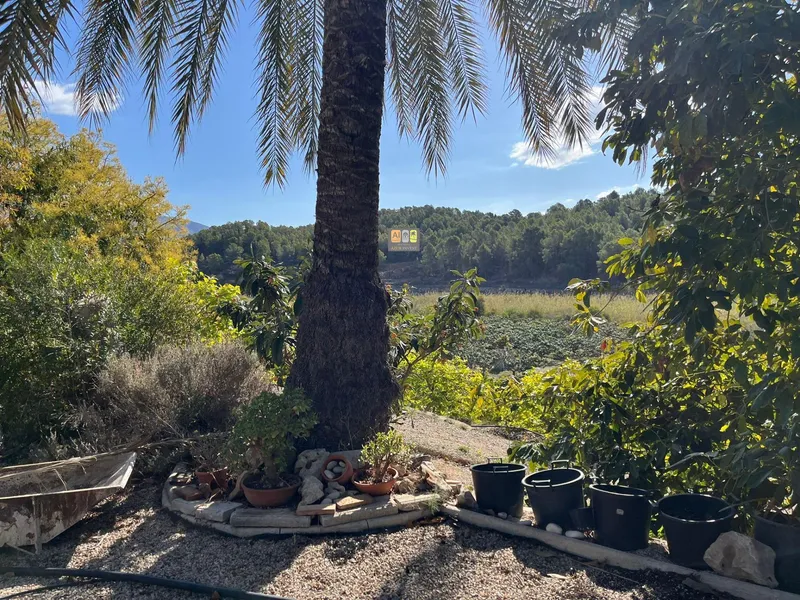 Casa de Campo en Callosa d'en Sarrià - 1