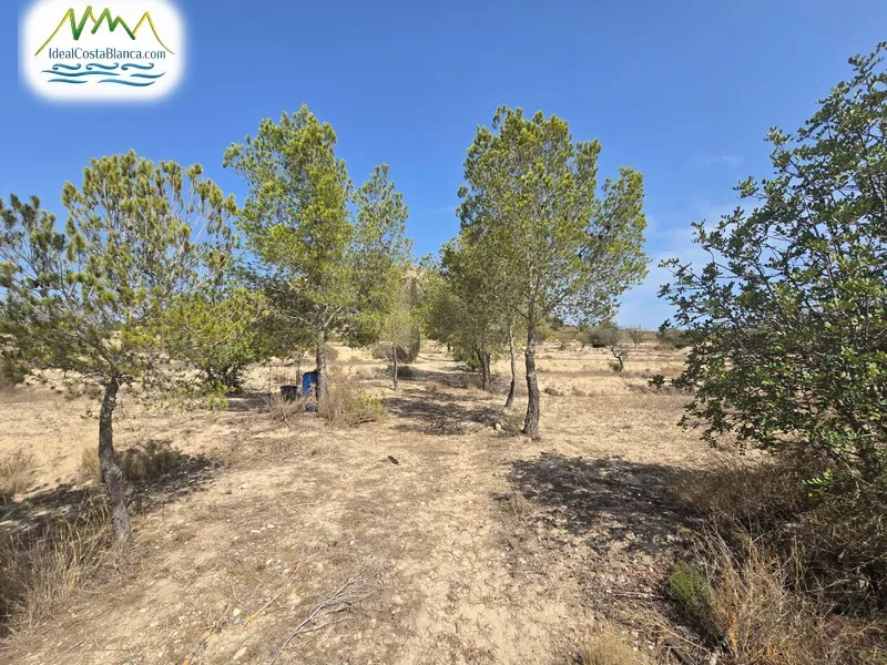 Country land in Relleu - 5