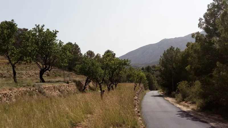 Plot in Benissa - 5