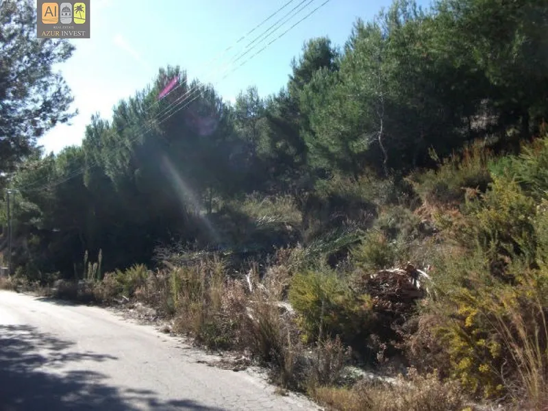 Plot in Altea - 2