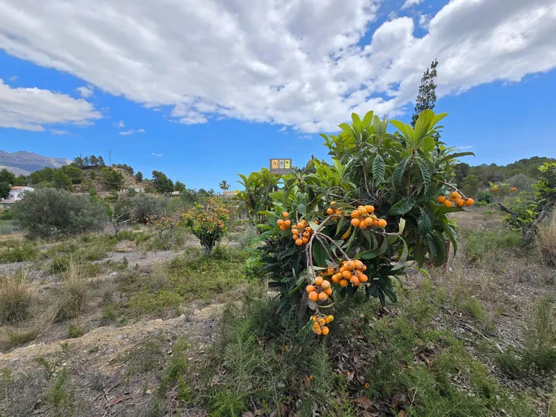 Plot in La Nucía - 11