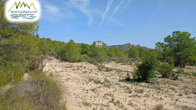 Country land in Relleu - 4