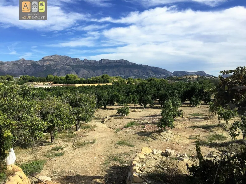 Country House in Altea - 16
