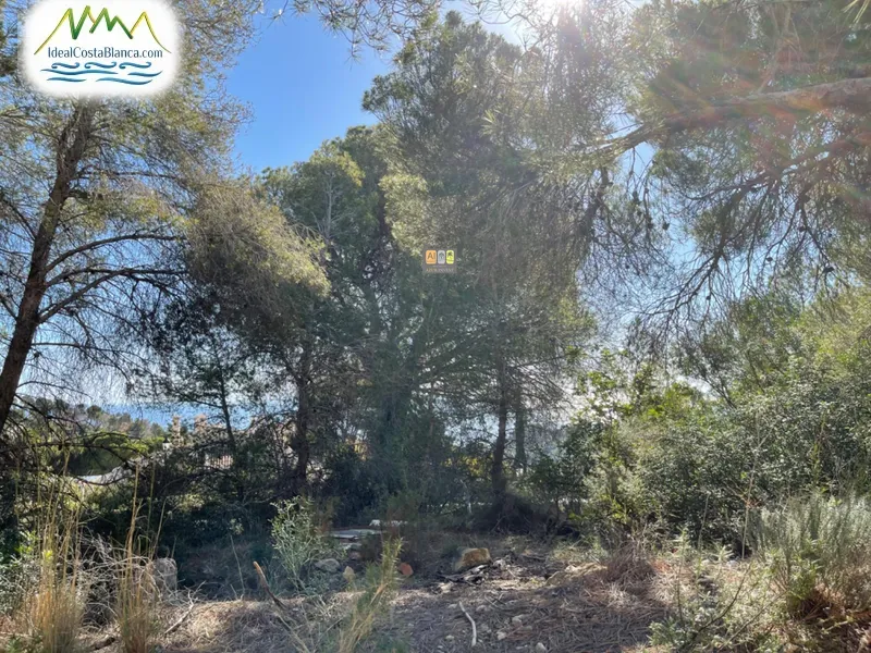 urban plot in Altea - 7