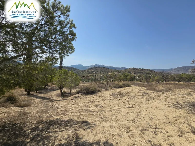 Country land in Relleu - 6