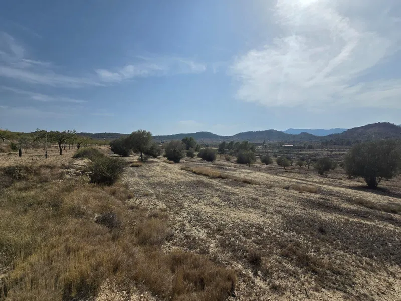 Plot in Relleu - 5