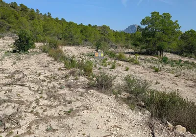Parcela en Relleu