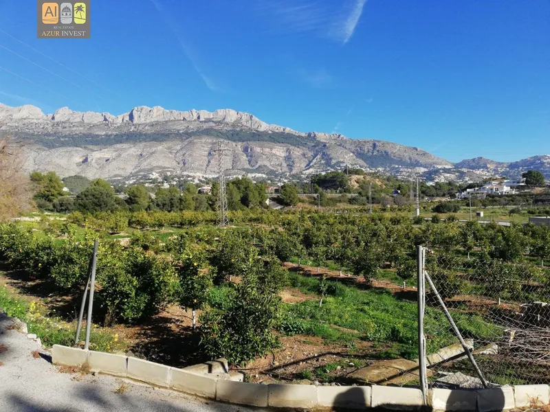 Plot in Altea - 1