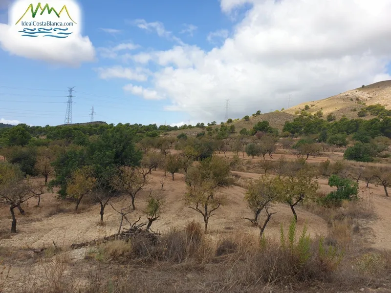 urban plot in Finestrat - 3