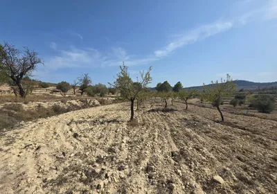 Parcela en Relleu