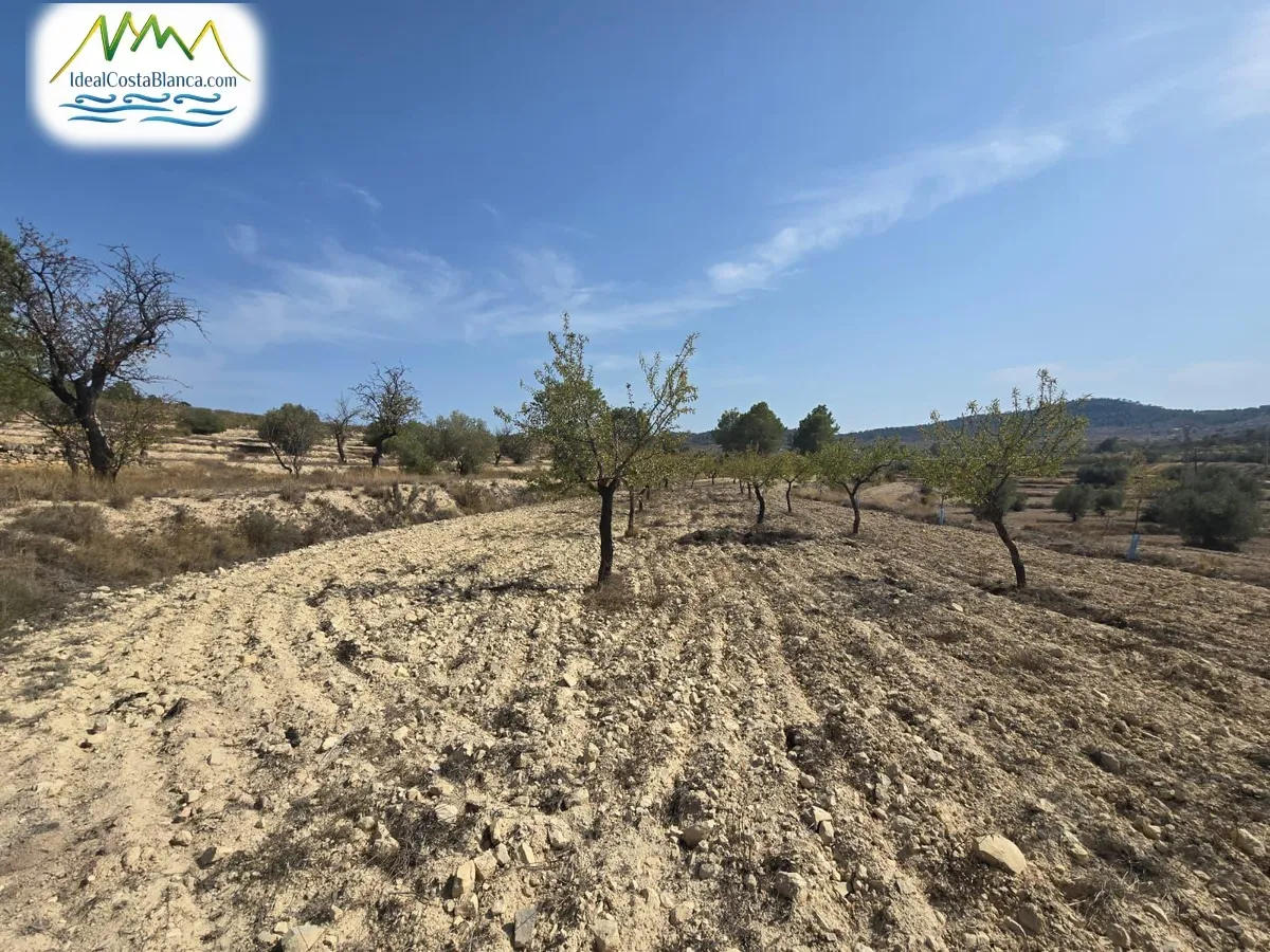 Country land à Relleu