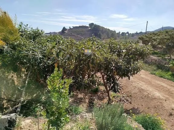 Maison de Campagne à La Nucía - 19