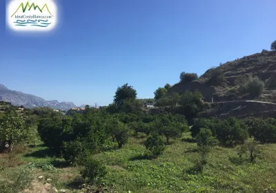 Parcela en La Nucía