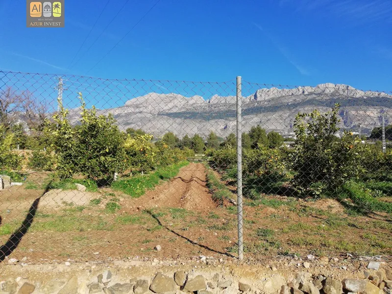 Plot in Altea - 2