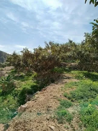 Maison de Campagne à La Nucía - 16