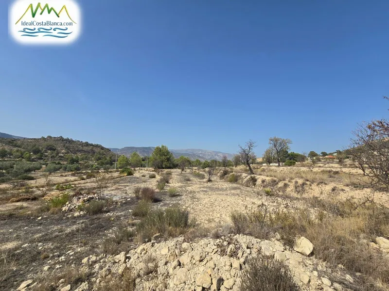 Country land in Relleu - 7