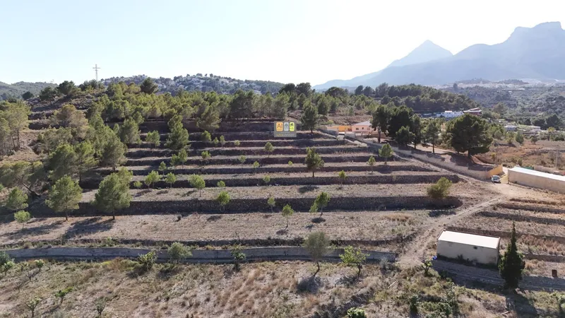 Plot in La Nucía - 4
