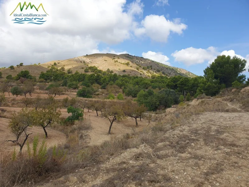 urban plot in Finestrat - 4