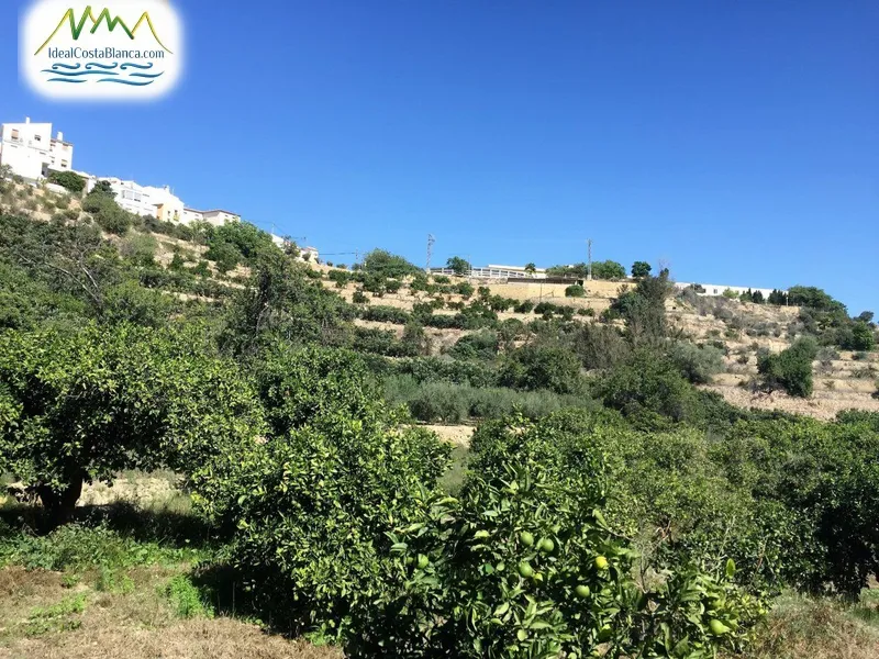 Plot à La Nucía - 6