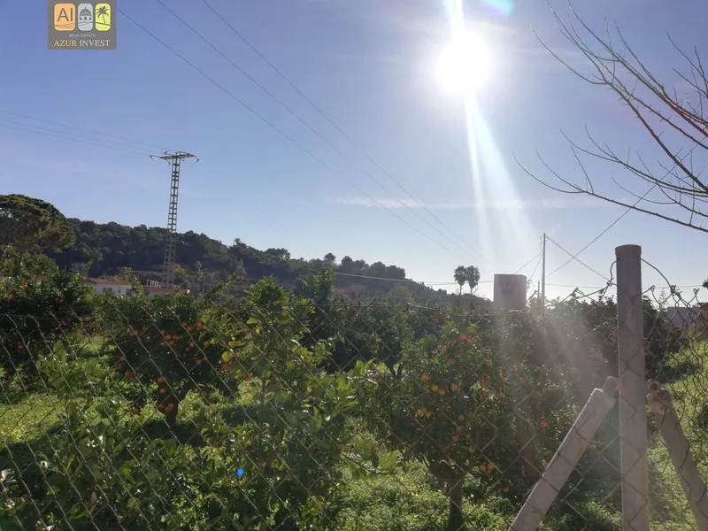 Plot in Altea - 4