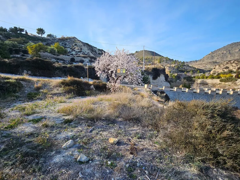 Parcela en Relleu - 3