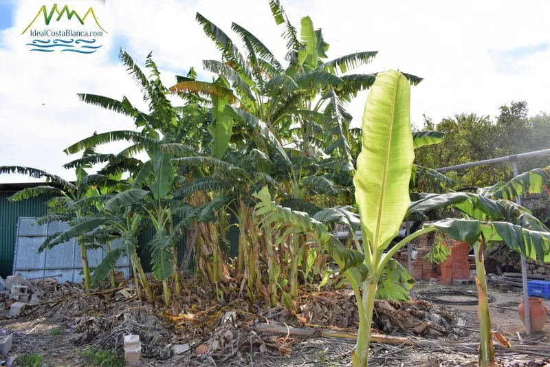 country house in Altea - 8