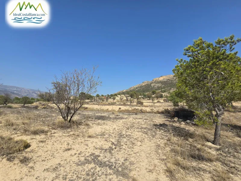 Country land in Relleu - 2