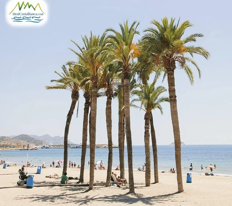 Country land in Villajoyosa - 2