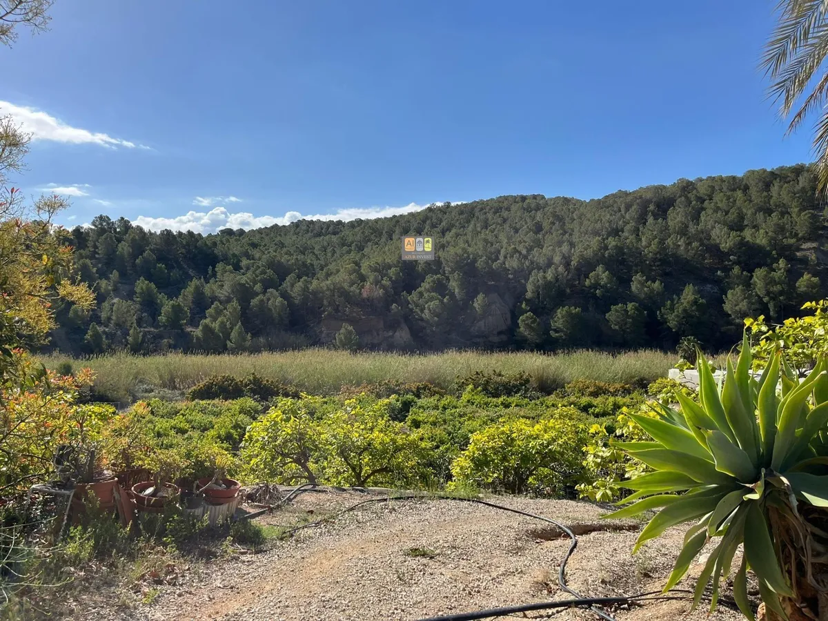 Plot in Callosa d'en Sarrià - Main