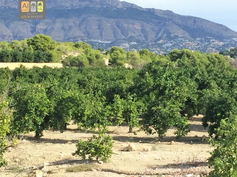Country House in Altea - 6
