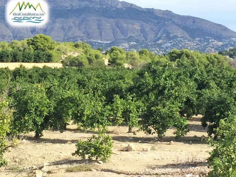 country house in Altea - 5