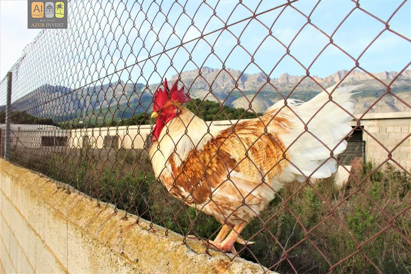 Maison de Campagne à Altea - 30