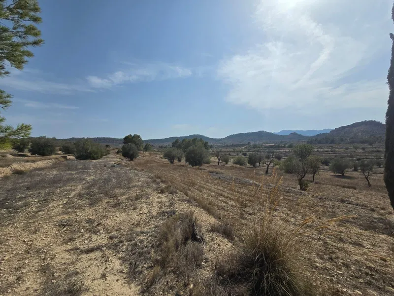 Plot in Relleu - 4