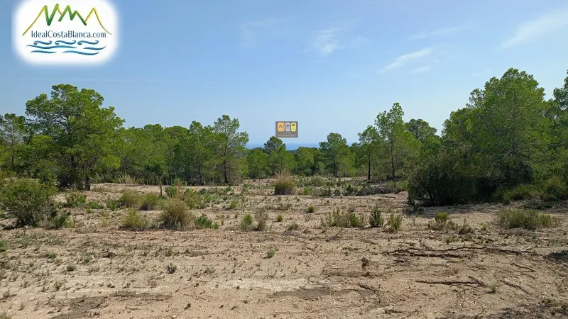 Country land in Relleu - 3