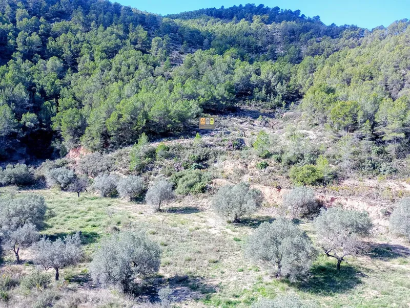 Plot in Relleu - 18