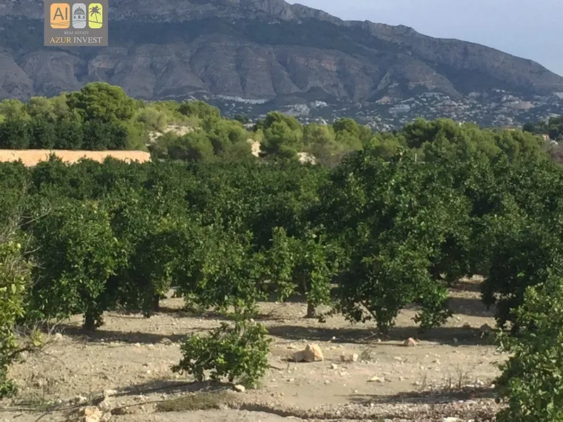 Country House in Altea - 4