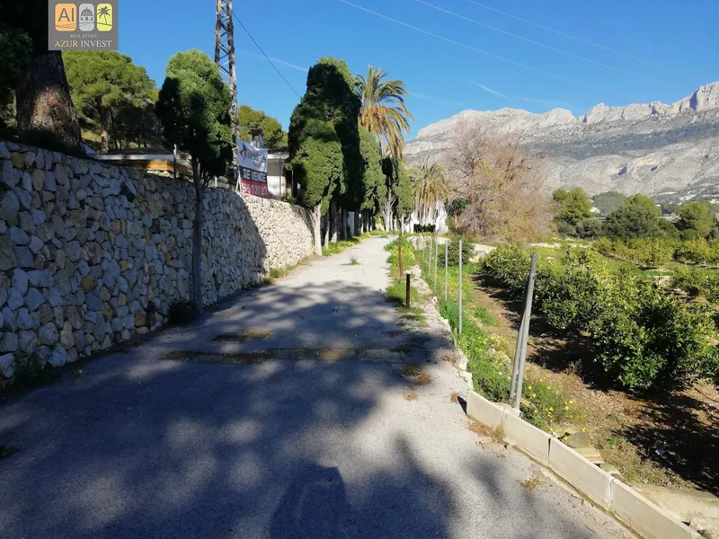Plot in Altea - 5