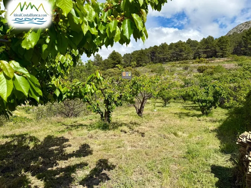 Country House in Sella - 8