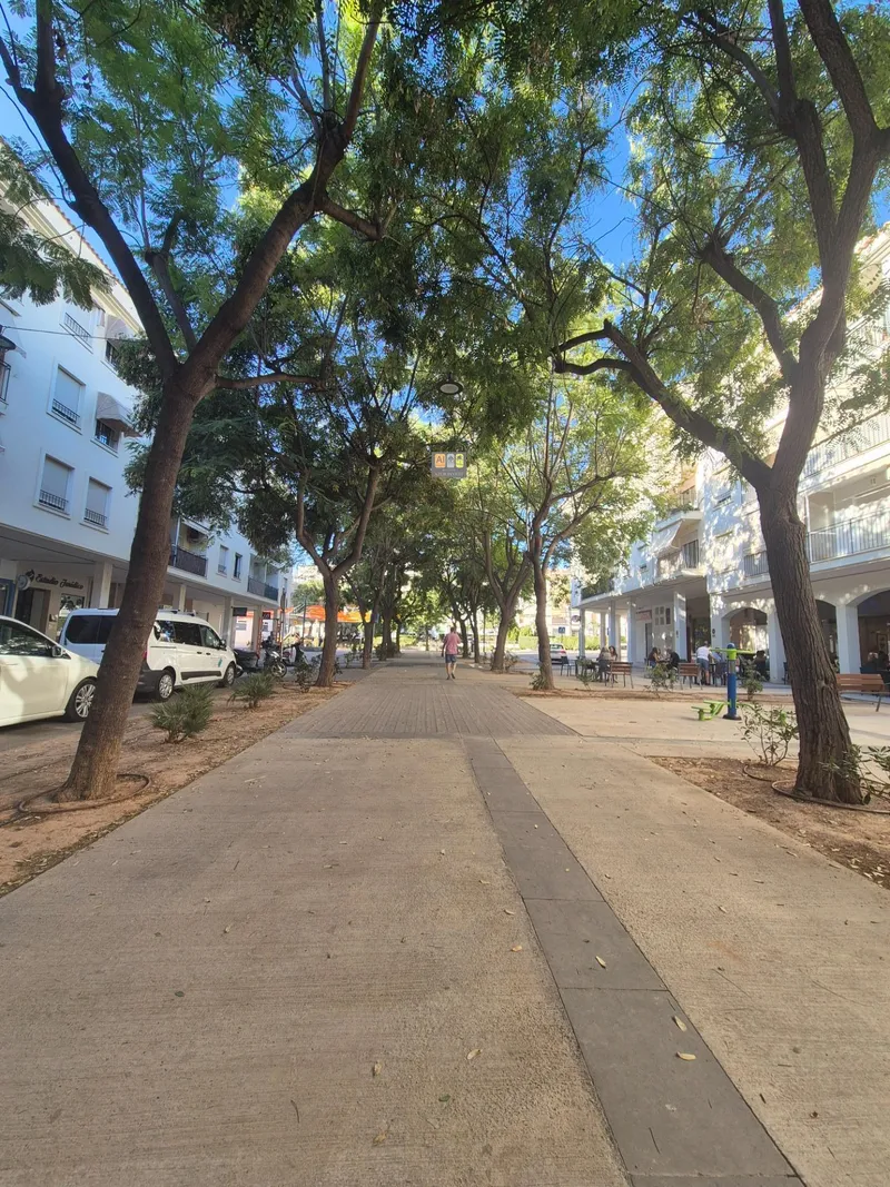 Local Comercial en Altea - 6