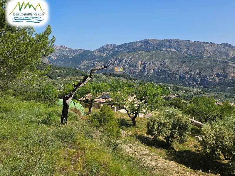 Parcela en Benifato - 8